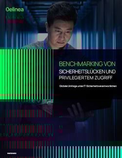 delinea-age-2022-global-research-report-de delinea-age-2022-global-research-report-de