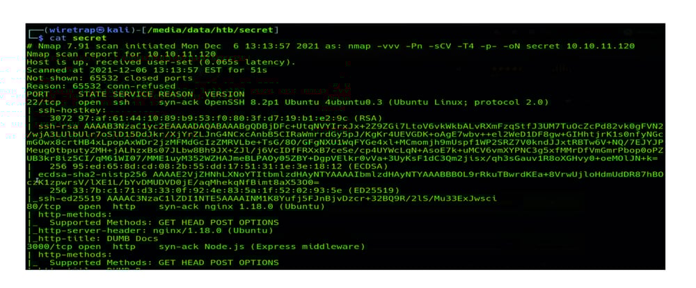 API security secret nmap