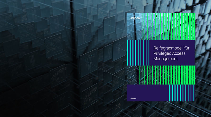delinea-image-maturity-whitepaper-de delinea-image-maturity-whitepaper-de