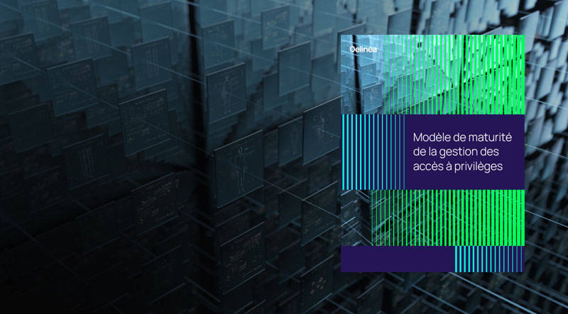 delinea-image-maturity-whitepaper-fr delinea-image-maturity-whitepaper-fr