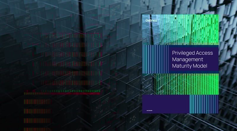 PAM Maturity Whitepaper