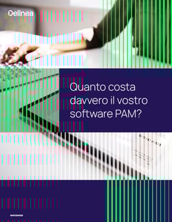delinea-image-tco-pam-software-thumbnail-it