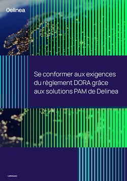 delinea-image-whitepaper-dora-requirements-a4-fr-thumbnail