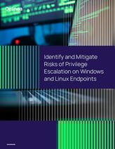 Identify and Mitigate Risks of Privilege Escalation on Windows and Linux Endpoints