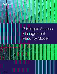 Privileged Access Management Maturity Model