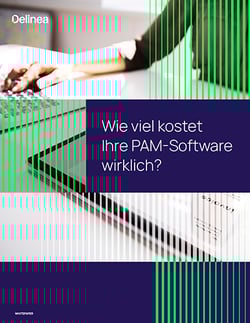 delinea-image-whitepaper-tco-pam-software-ger-de-thumbnail
