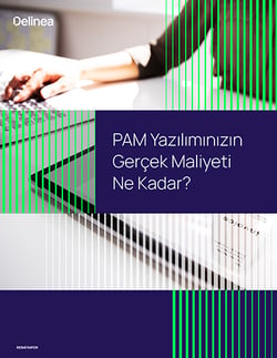 delinea-image-wp-tco-pam-software-tr-thumbnail delinea-image-wp-tco-pam-software-tr-thumbnail